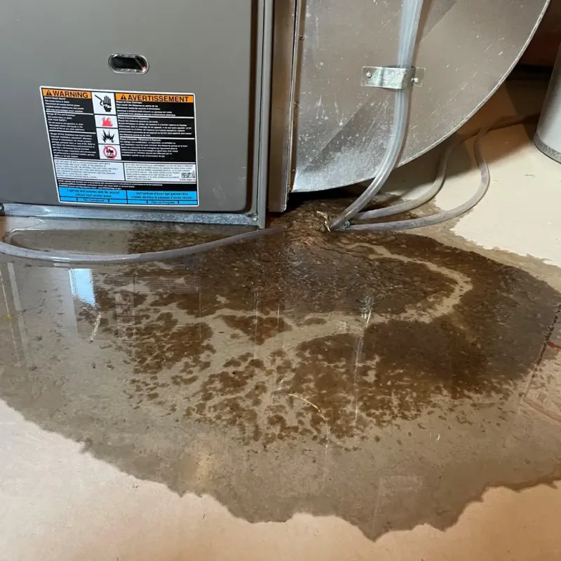 Appliance Leak Cleanup in Mount Holly, VT